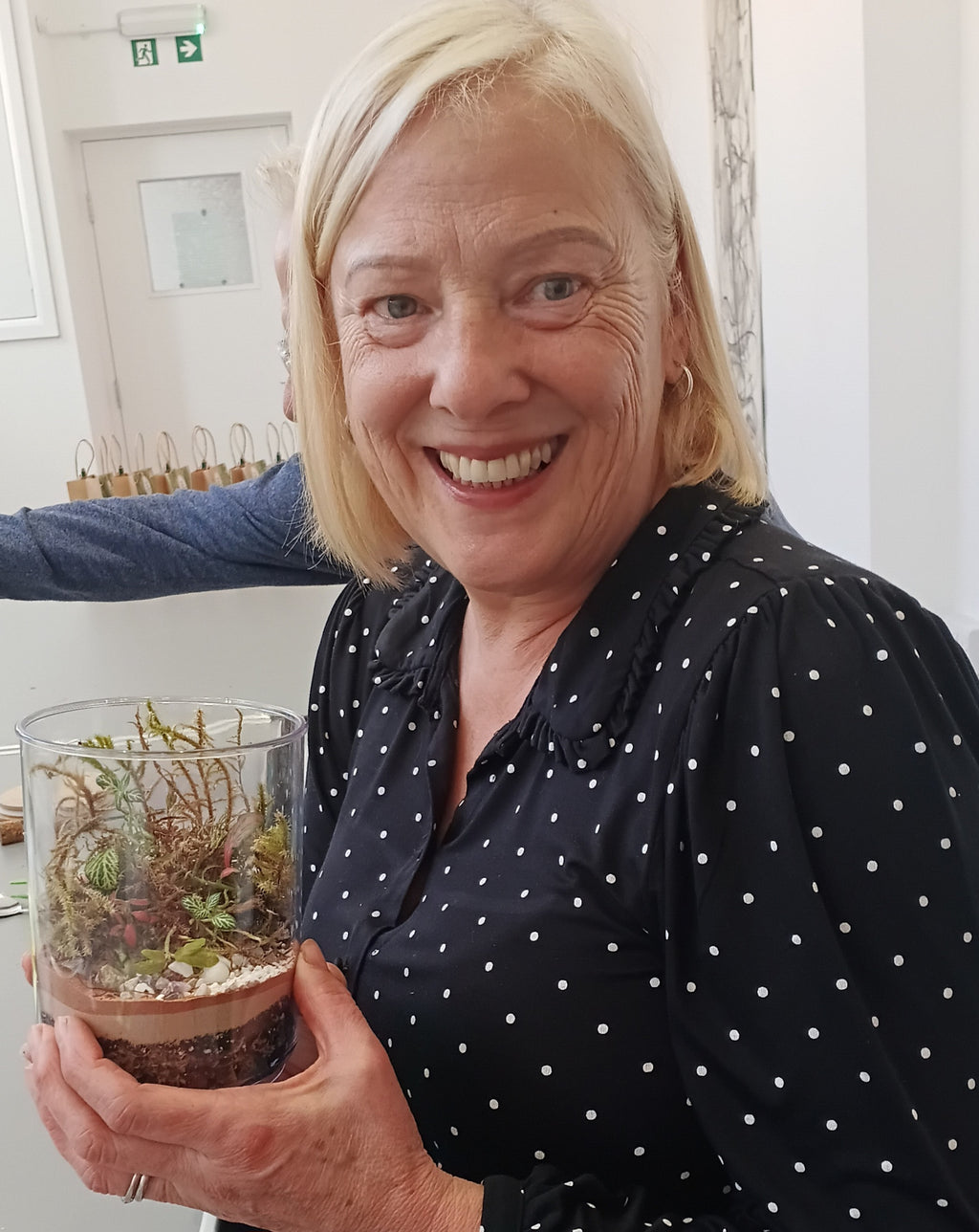 Ultimate Entry Level Terrarium Kit