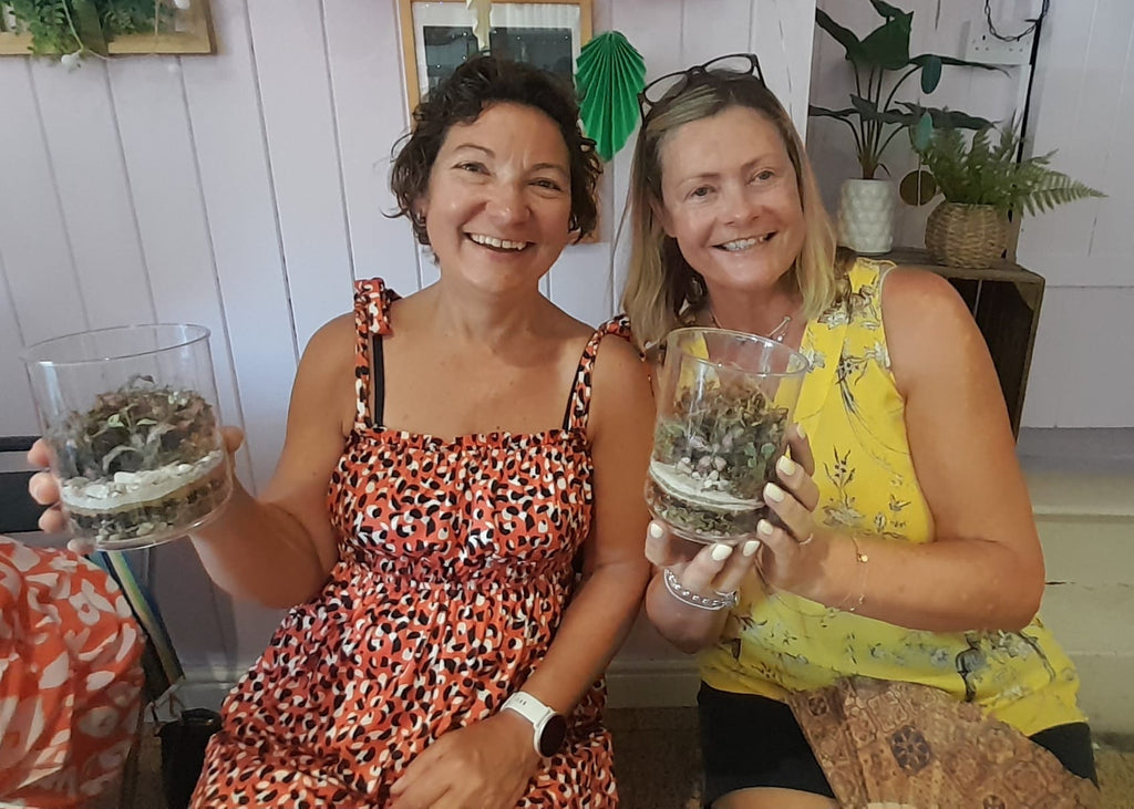 Ultimate Entry Level Terrarium Kit