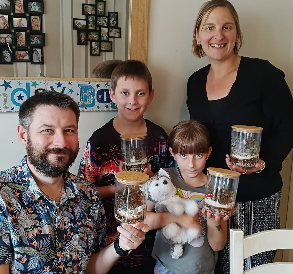 Ultimate Entry Level Terrarium Kit