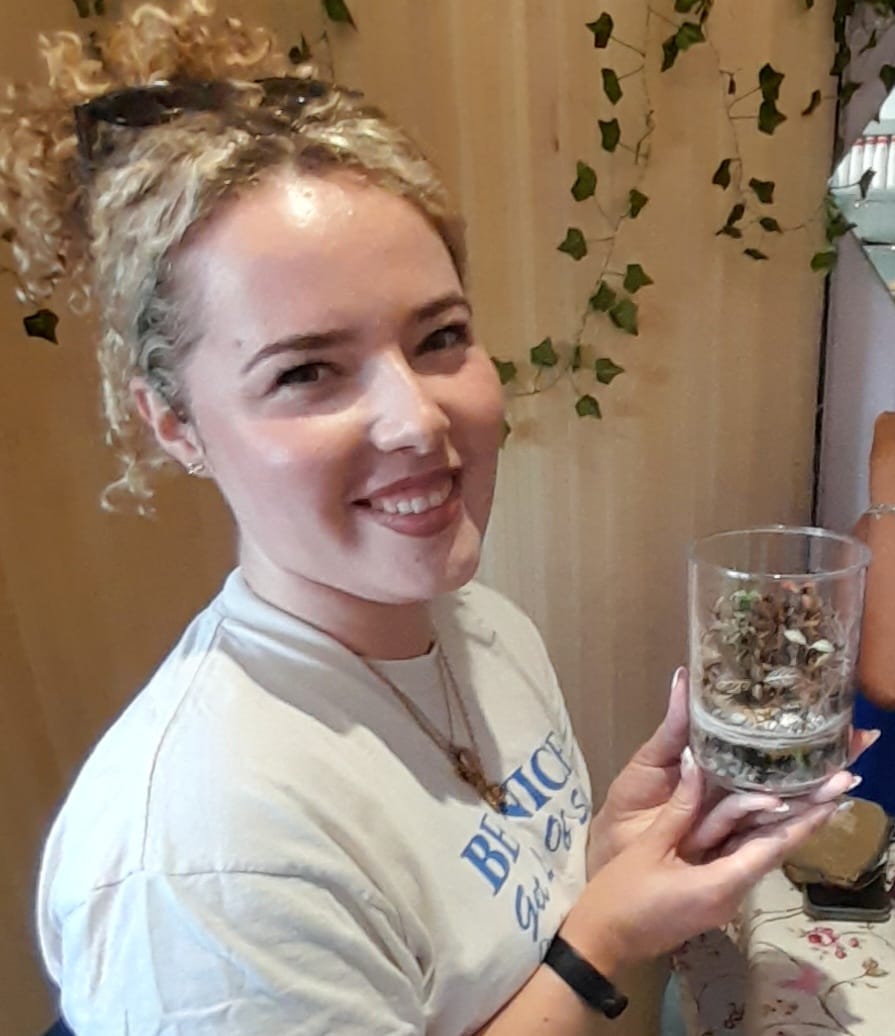 Ultimate Entry Level Terrarium Kit